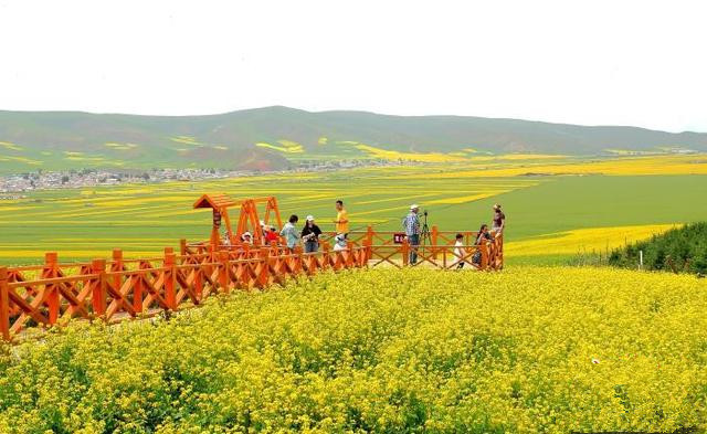 青島推動(dòng)文旅項(xiàng)目多領(lǐng)域、多業(yè)態(tài)、多層次發(fā)展