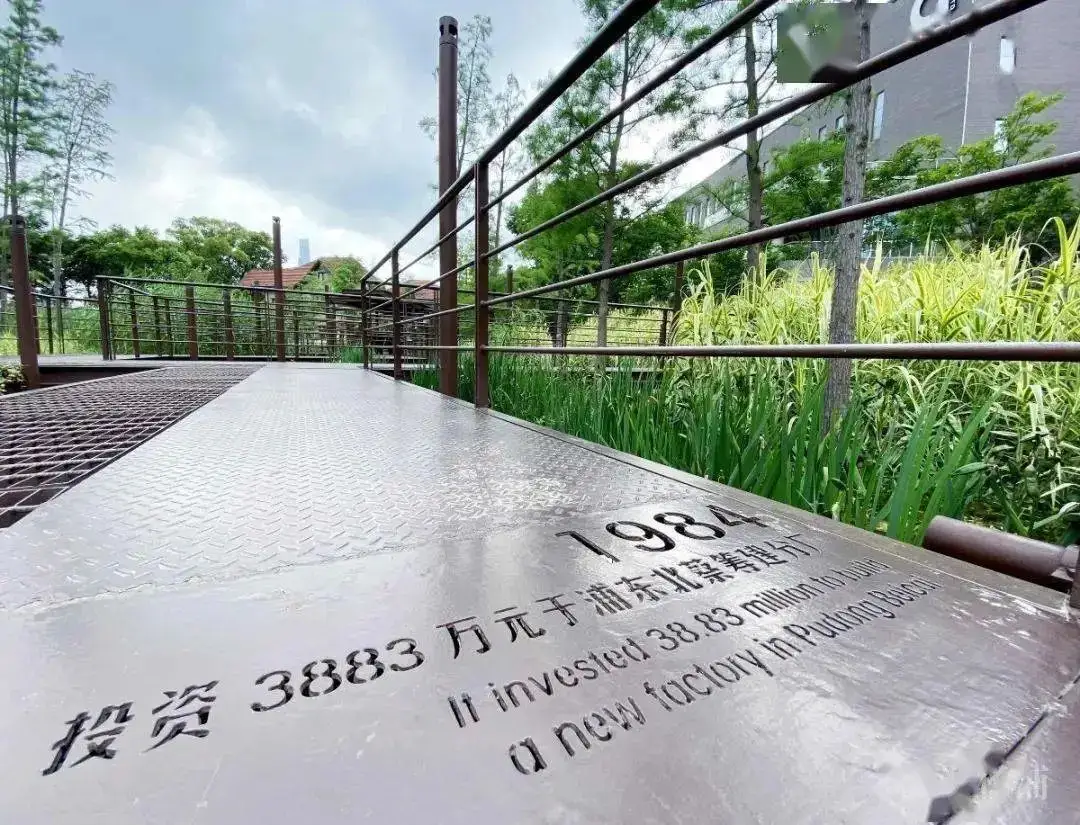 5.5公里楊浦濱江岸線，楊樹浦路變身“露天博物館”