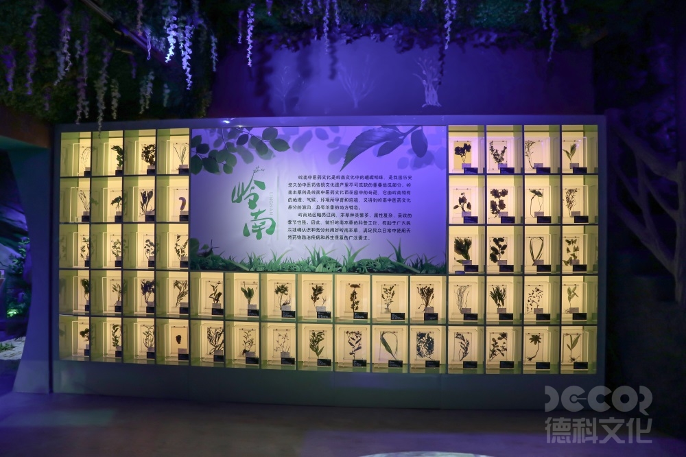 科技展廳設(shè)計(jì)中，如何合理利用空間和布局展示多個(gè)主題或領(lǐng)域？