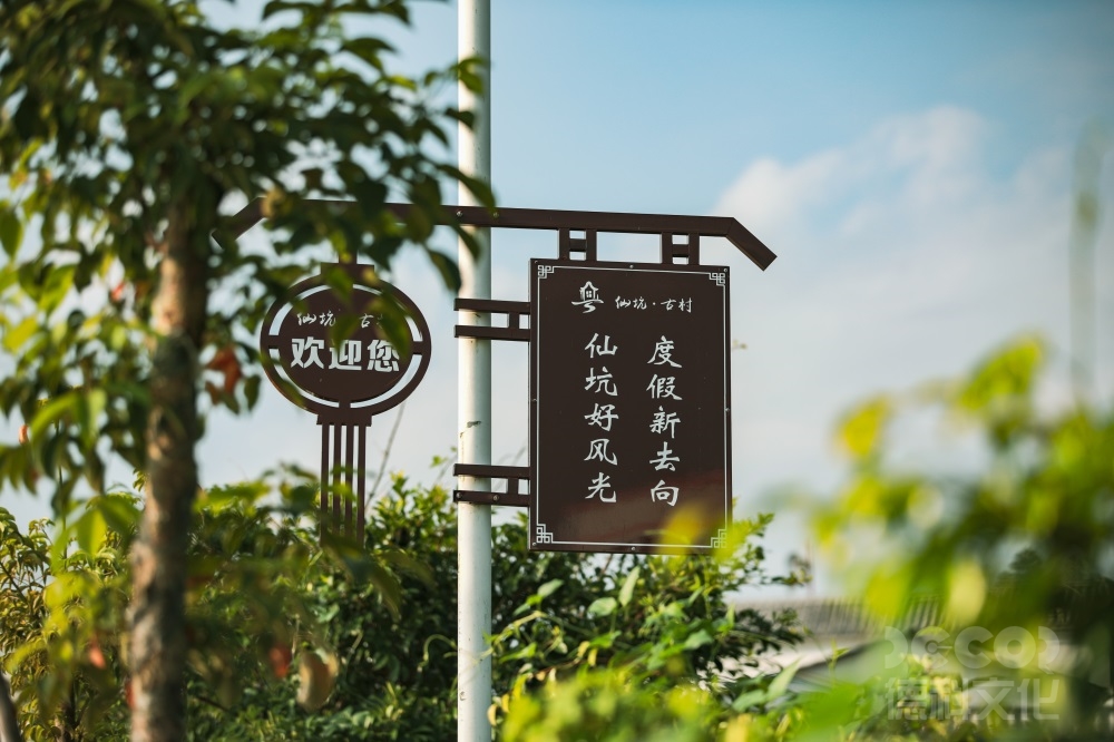 鄉(xiāng)村文旅設(shè)計如何結(jié)合鄉(xiāng)村音樂會和藝術(shù)展覽？